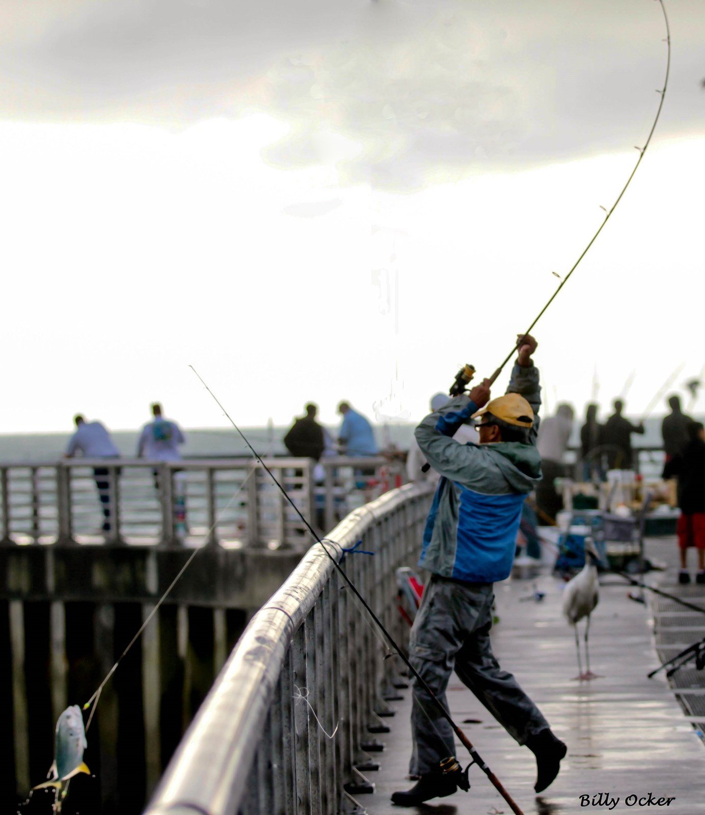 Big Catch In Action