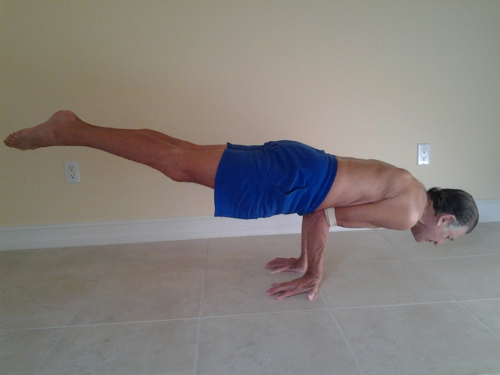 Peacock Plank
