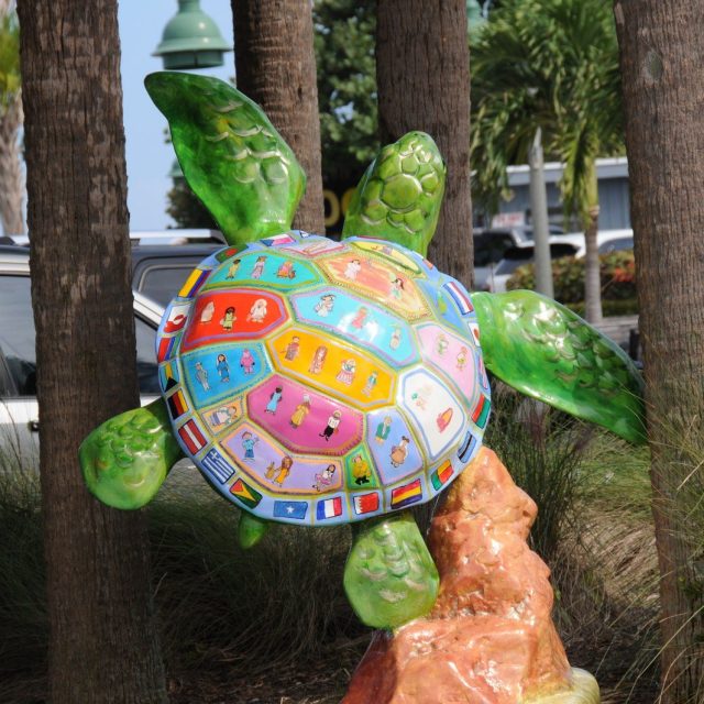 Another Happy Tortoise