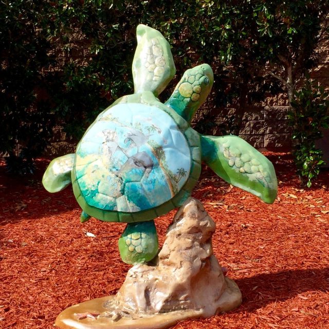 Shopper's Turtle