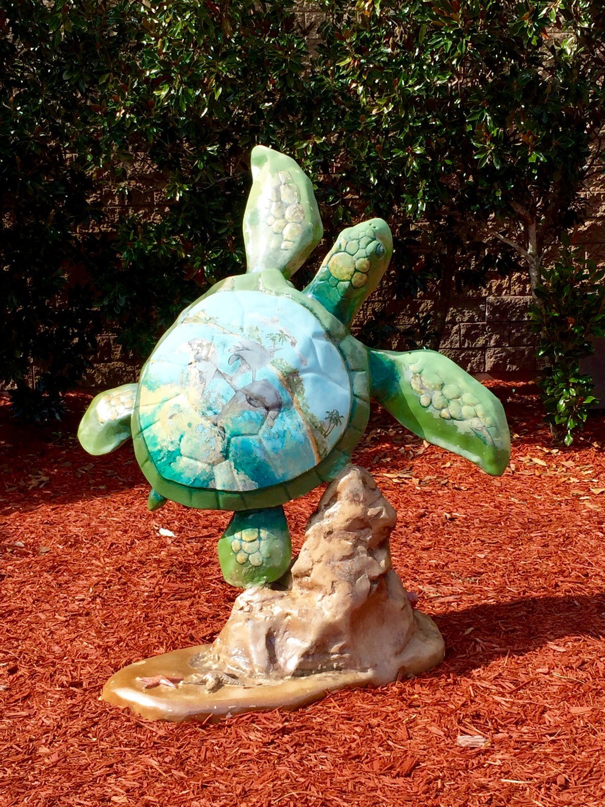 Shopper's Turtle