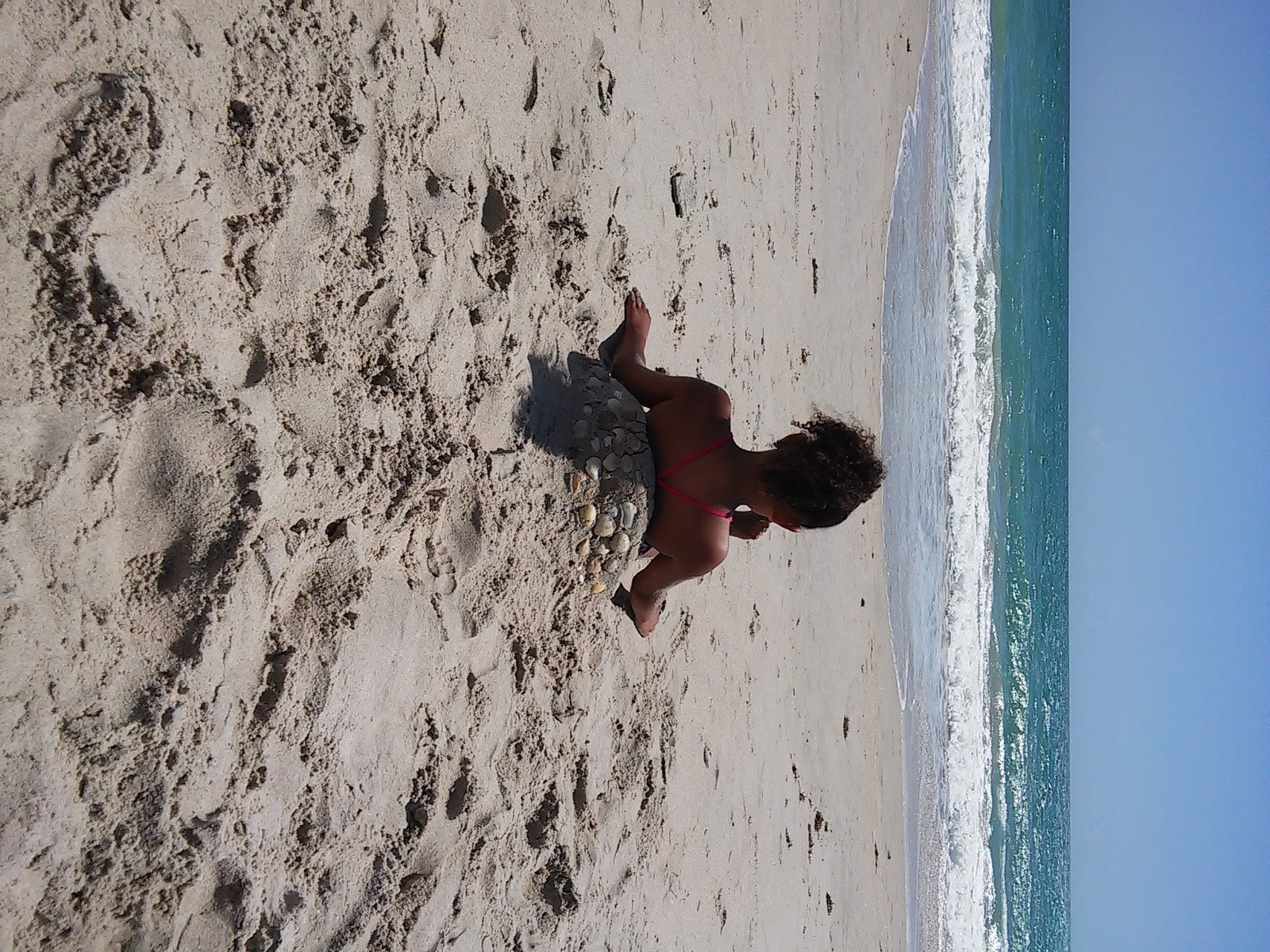 Waiting On Turtles