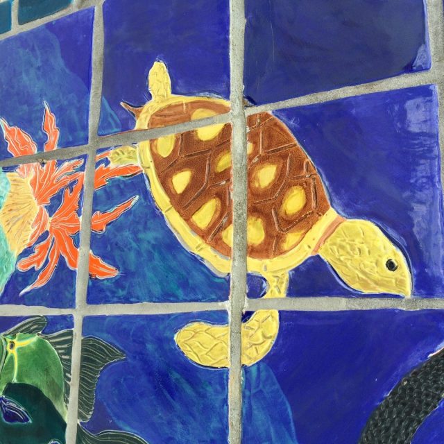 The Other Splash Park Turtle