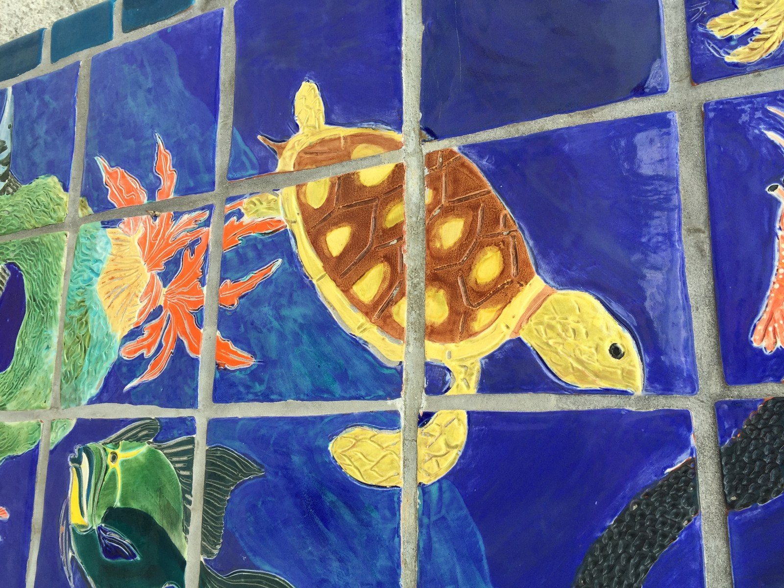 The Other Splash Park Turtle