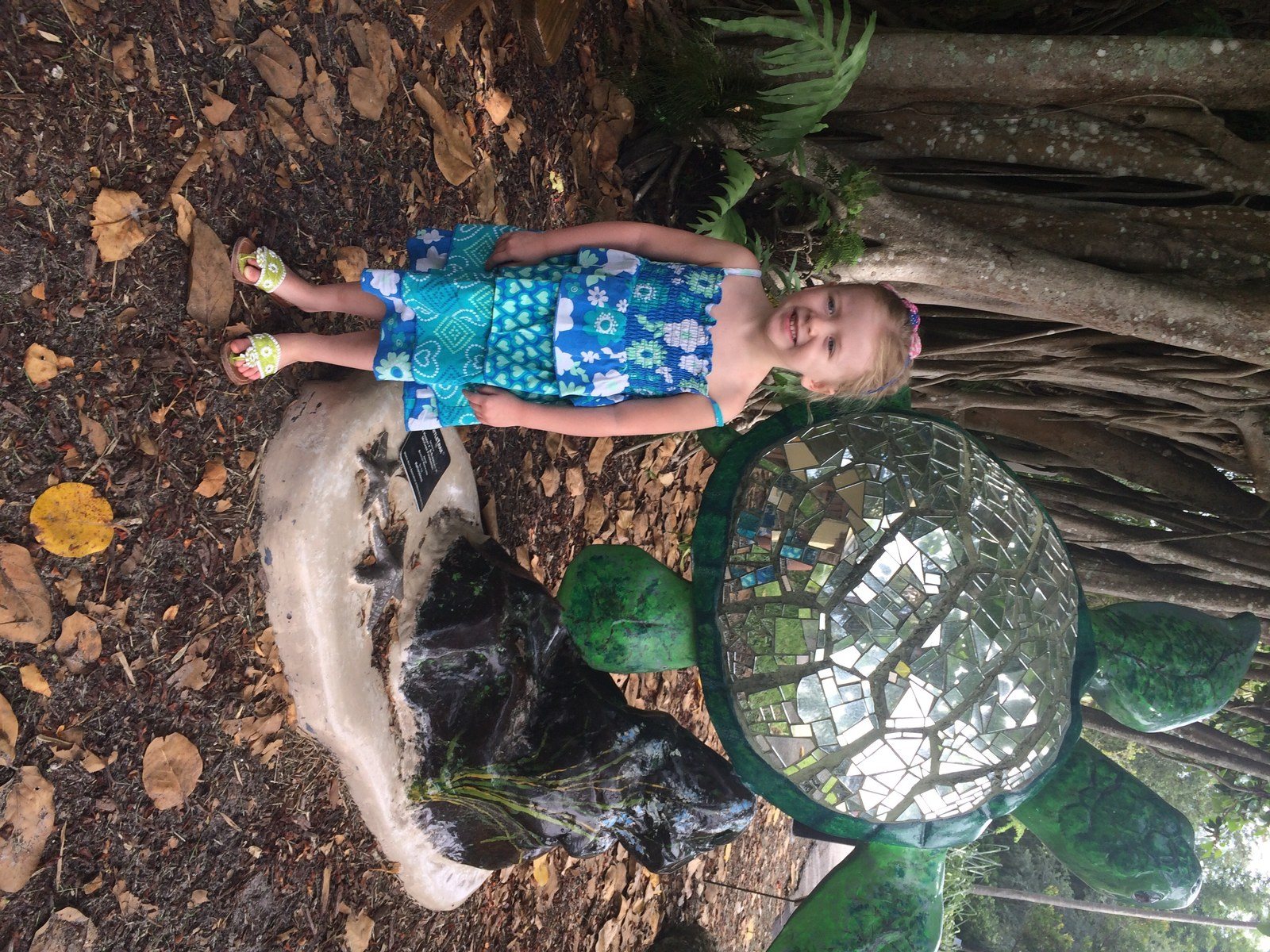 McKee Turtle Love!