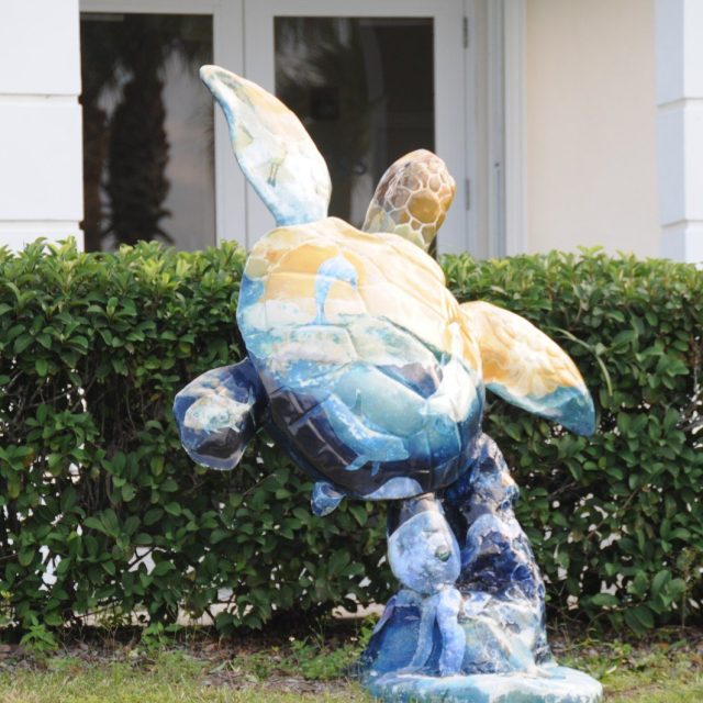 Tortoise To The Rescue!
