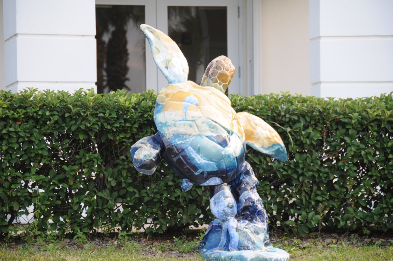 Tortoise To The Rescue!