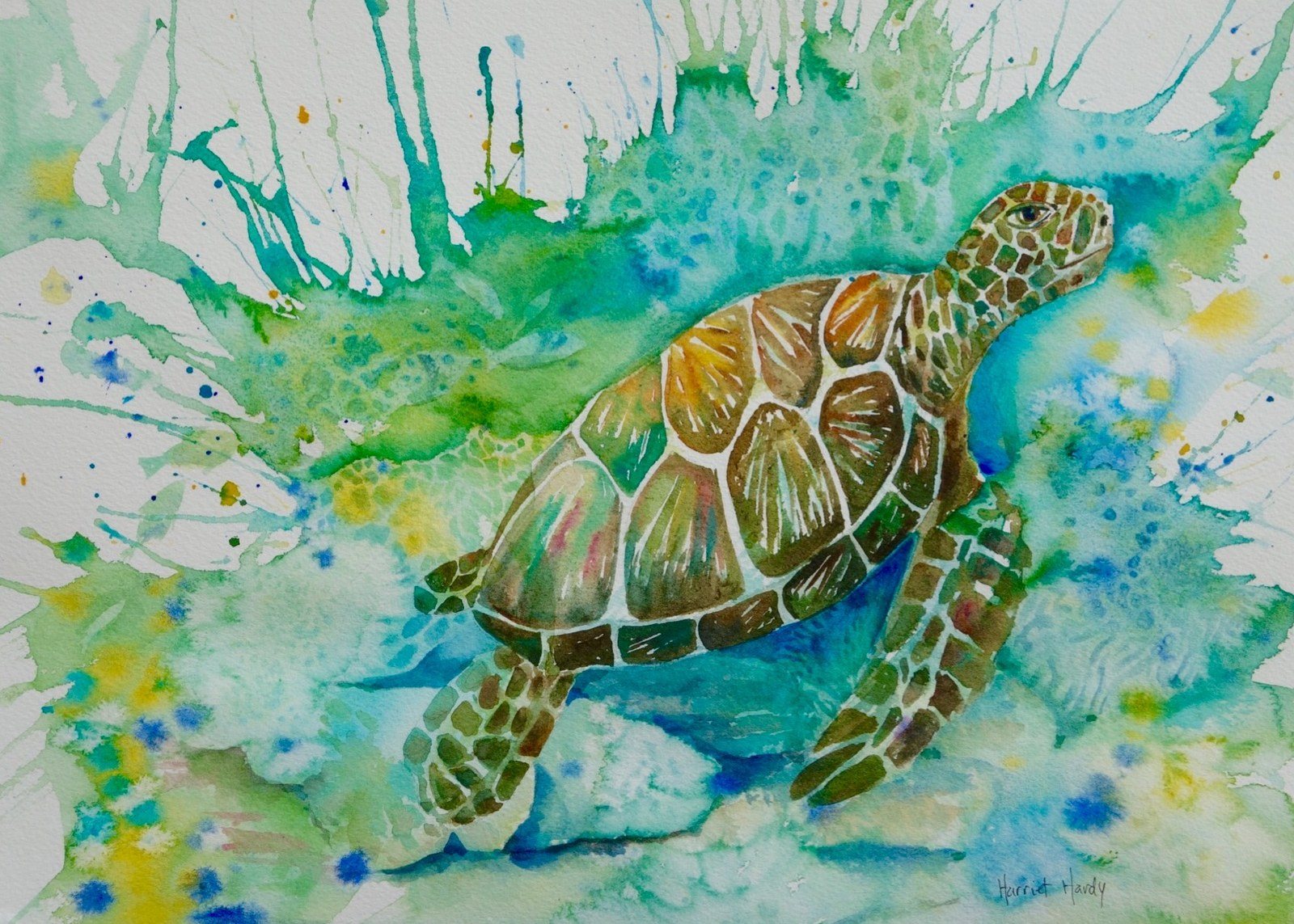 Funky Turtle