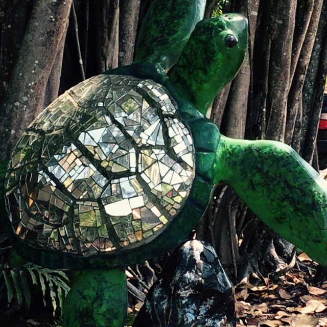 Turtles Shine!