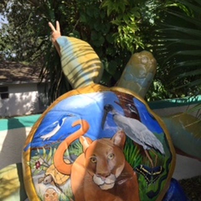 Peace Turtle