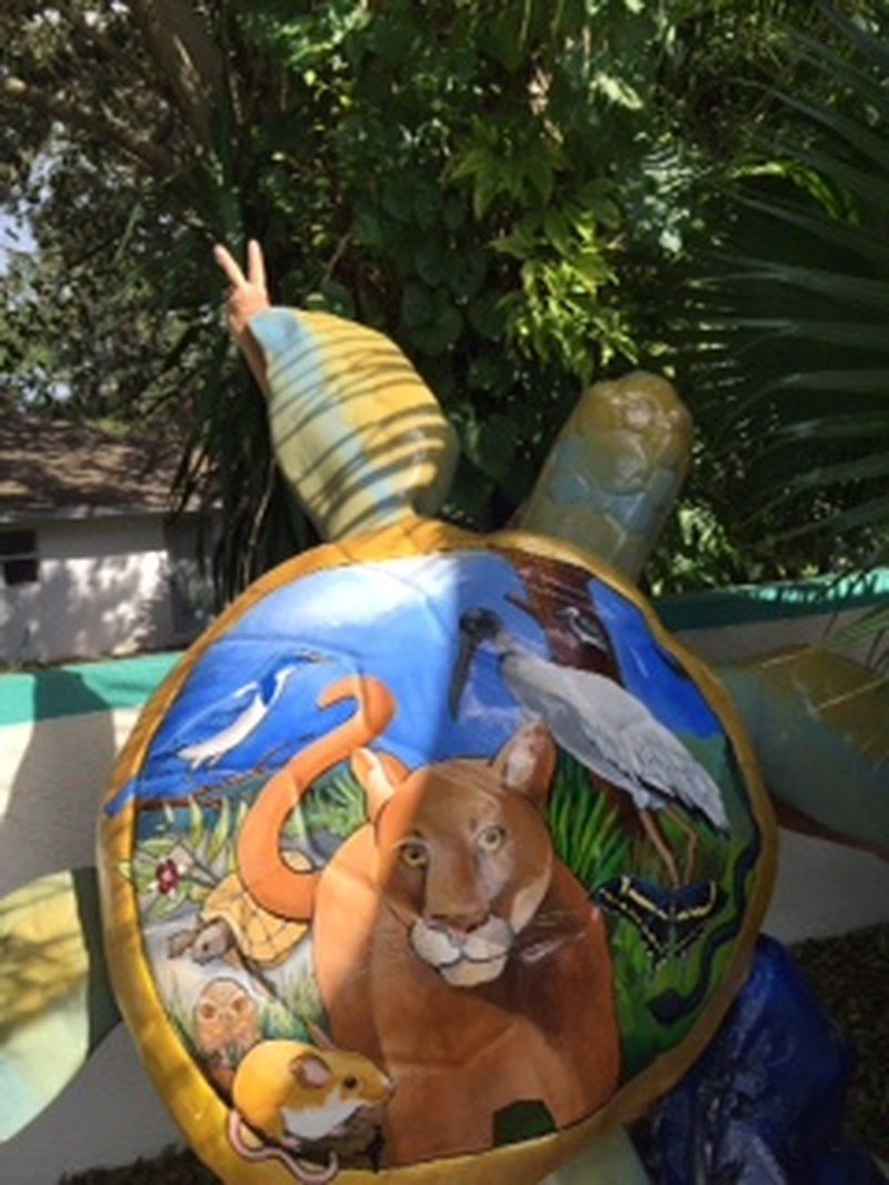 Peace Turtle