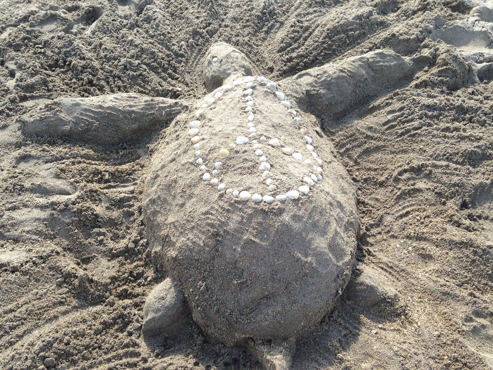 "Turtle Of Peace"