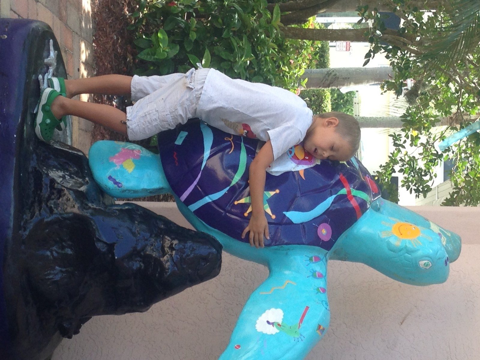I Love #seaturtles #verobeach