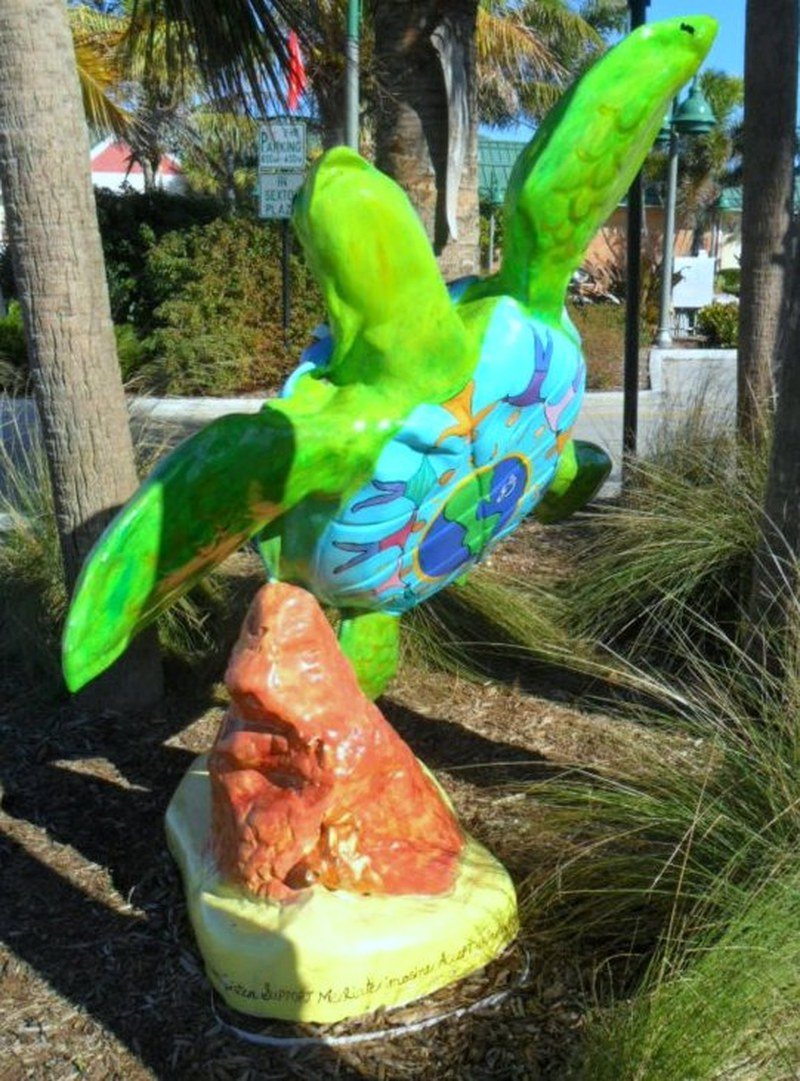 Vero Turtle