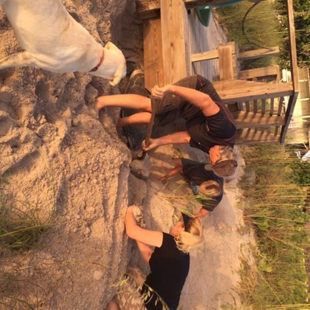 Stuck Turtle Saved By Humans