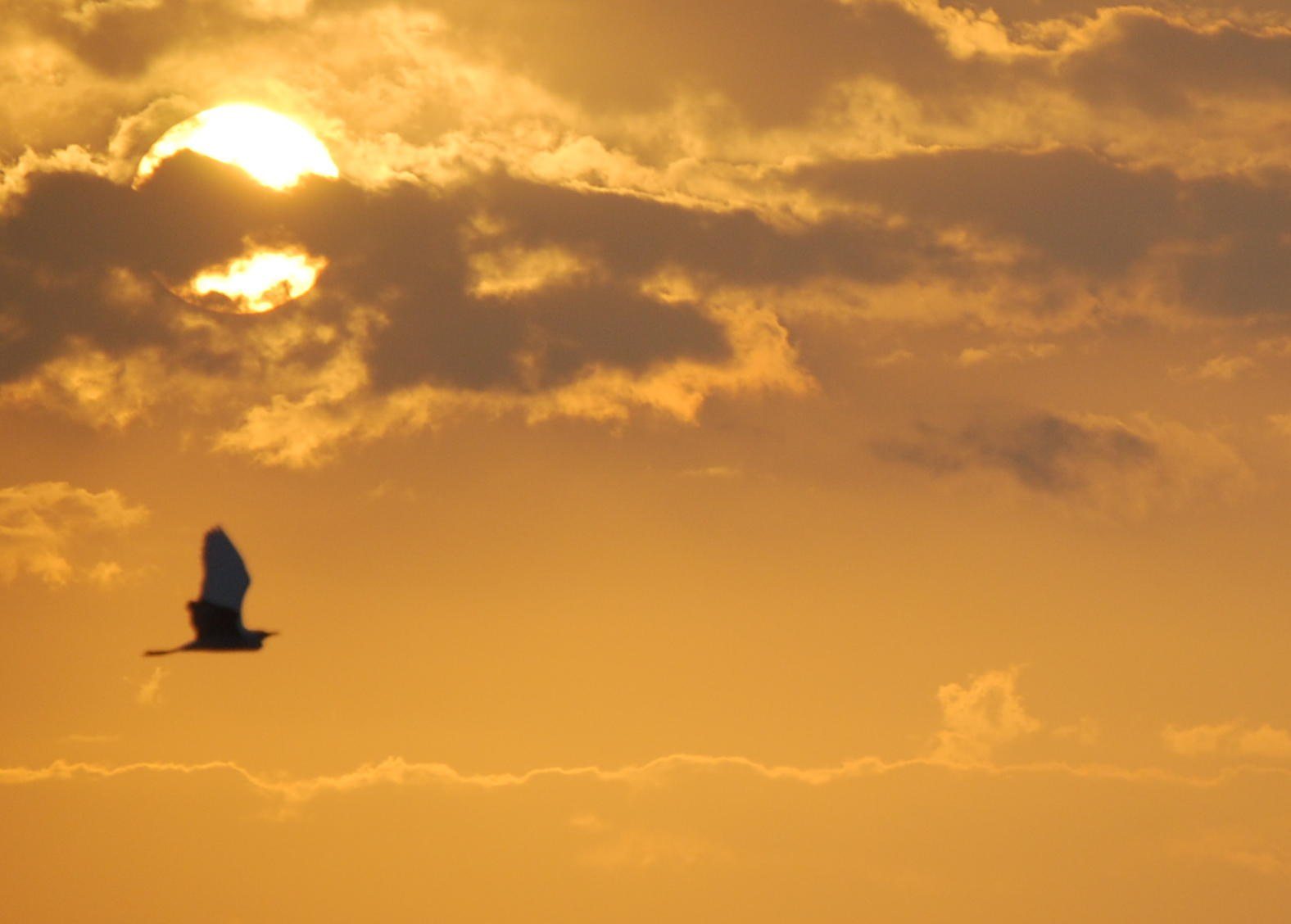 Fly Away