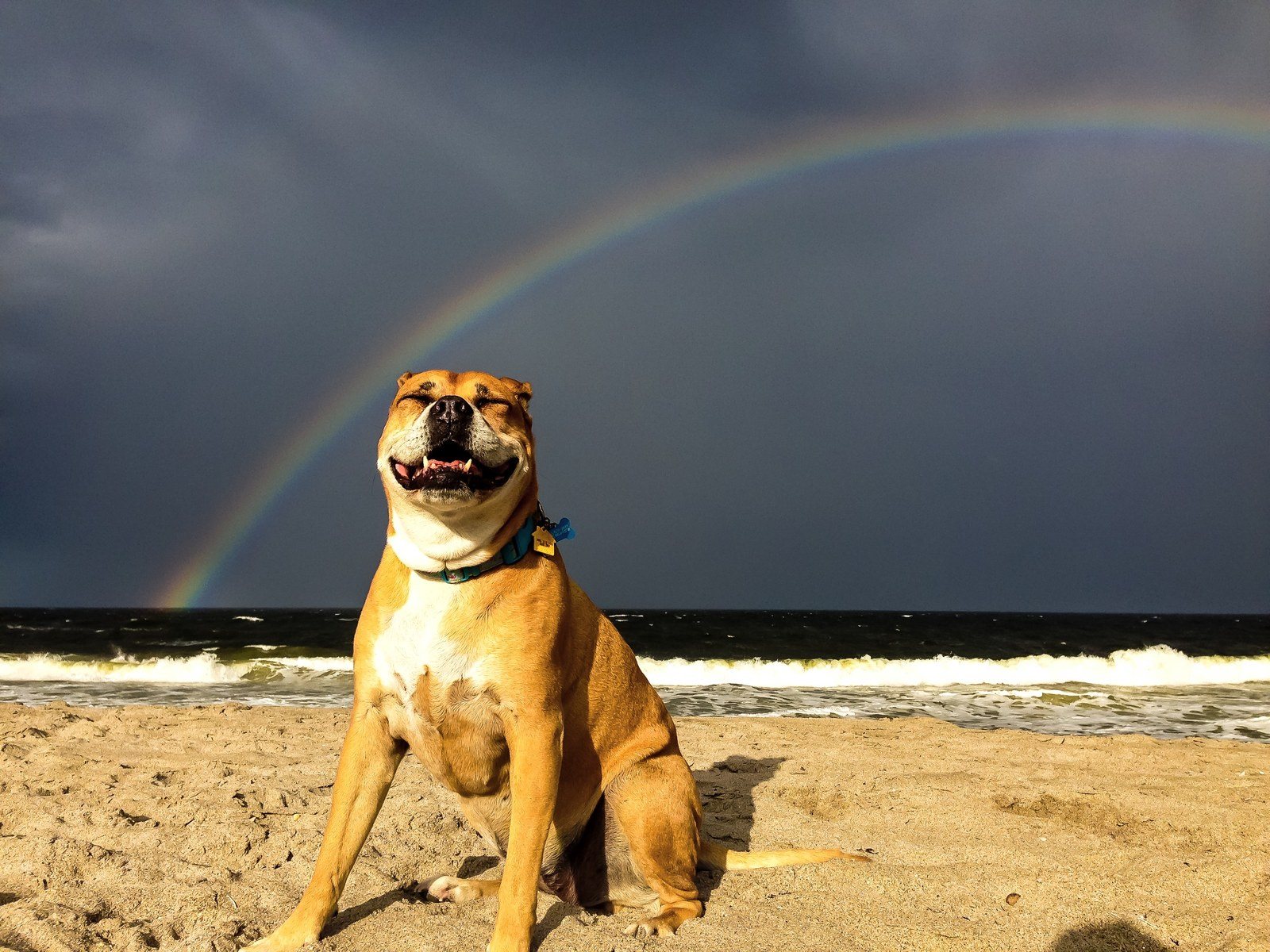 Rainbow Smile