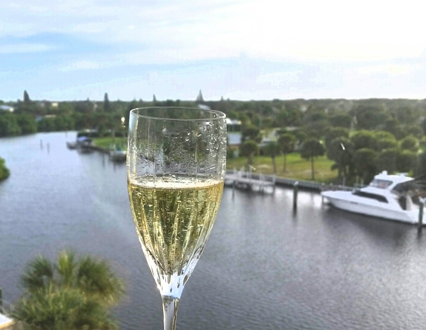 New Years Vista