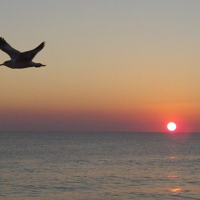 Blessed To Live Here