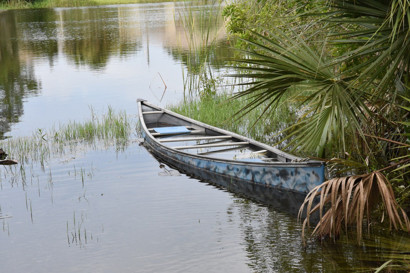 Afloat