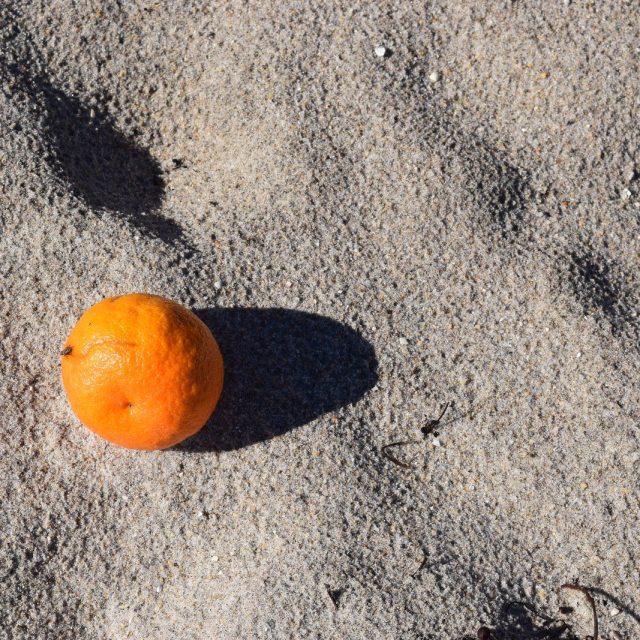 Even Oranges Like The Beach.