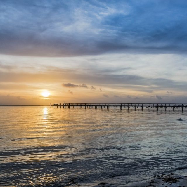 "Salt Life In Florida"