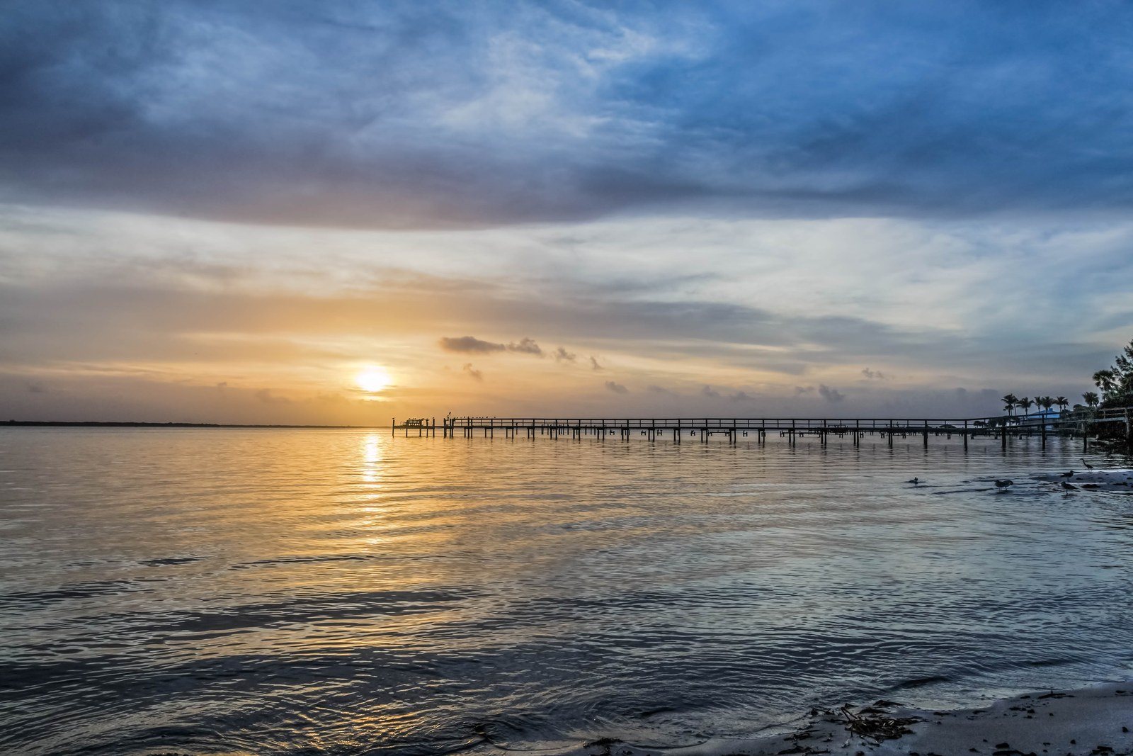 "Salt Life In Florida"