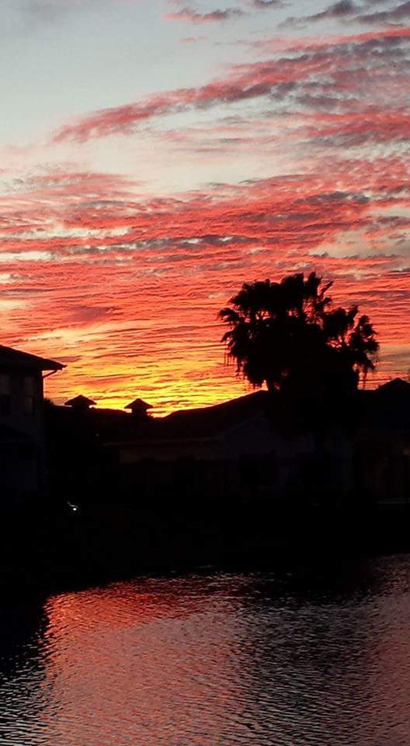 Vero Sunset Palms