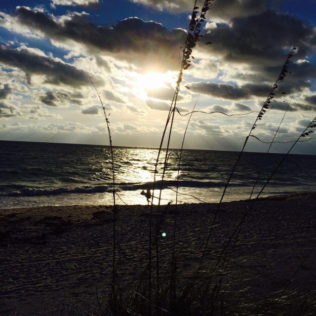 Morning In Paradise