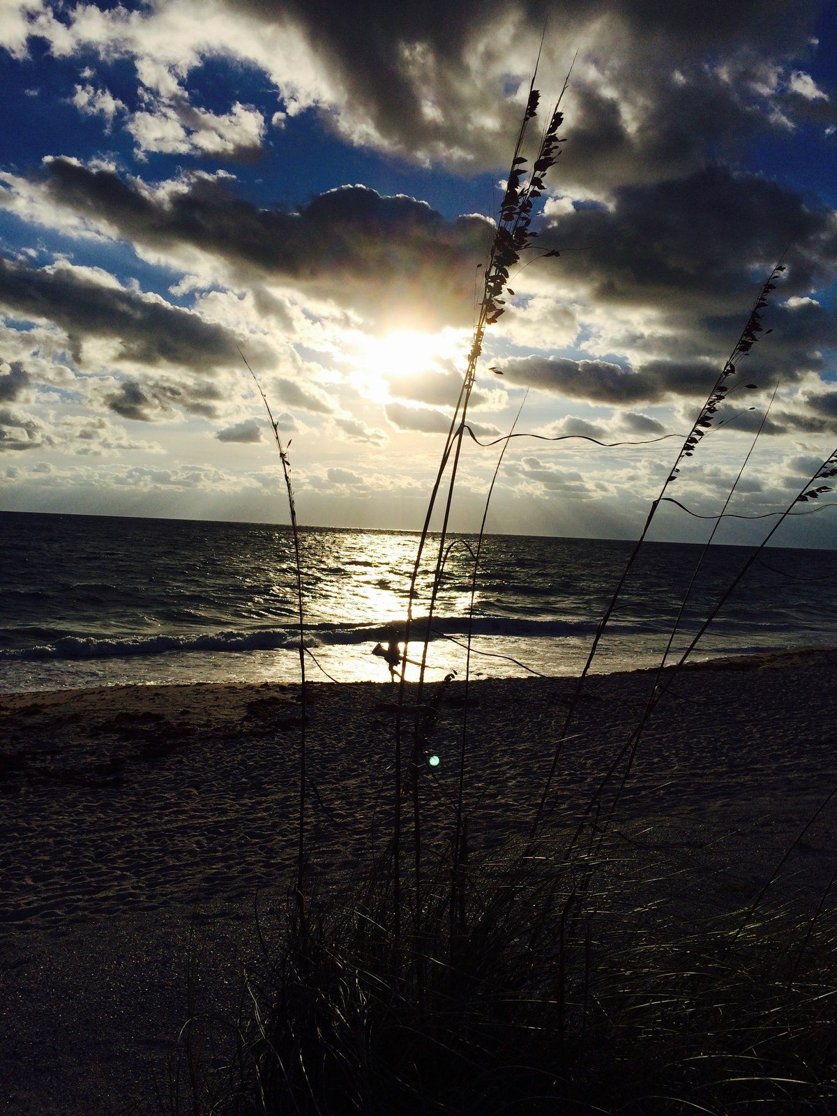 Morning In Paradise