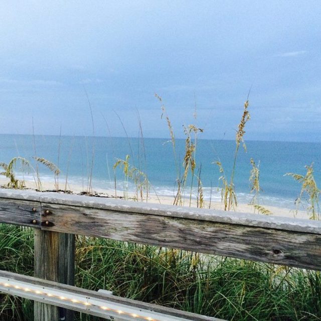 Another Day In Paradise-Vero Beach