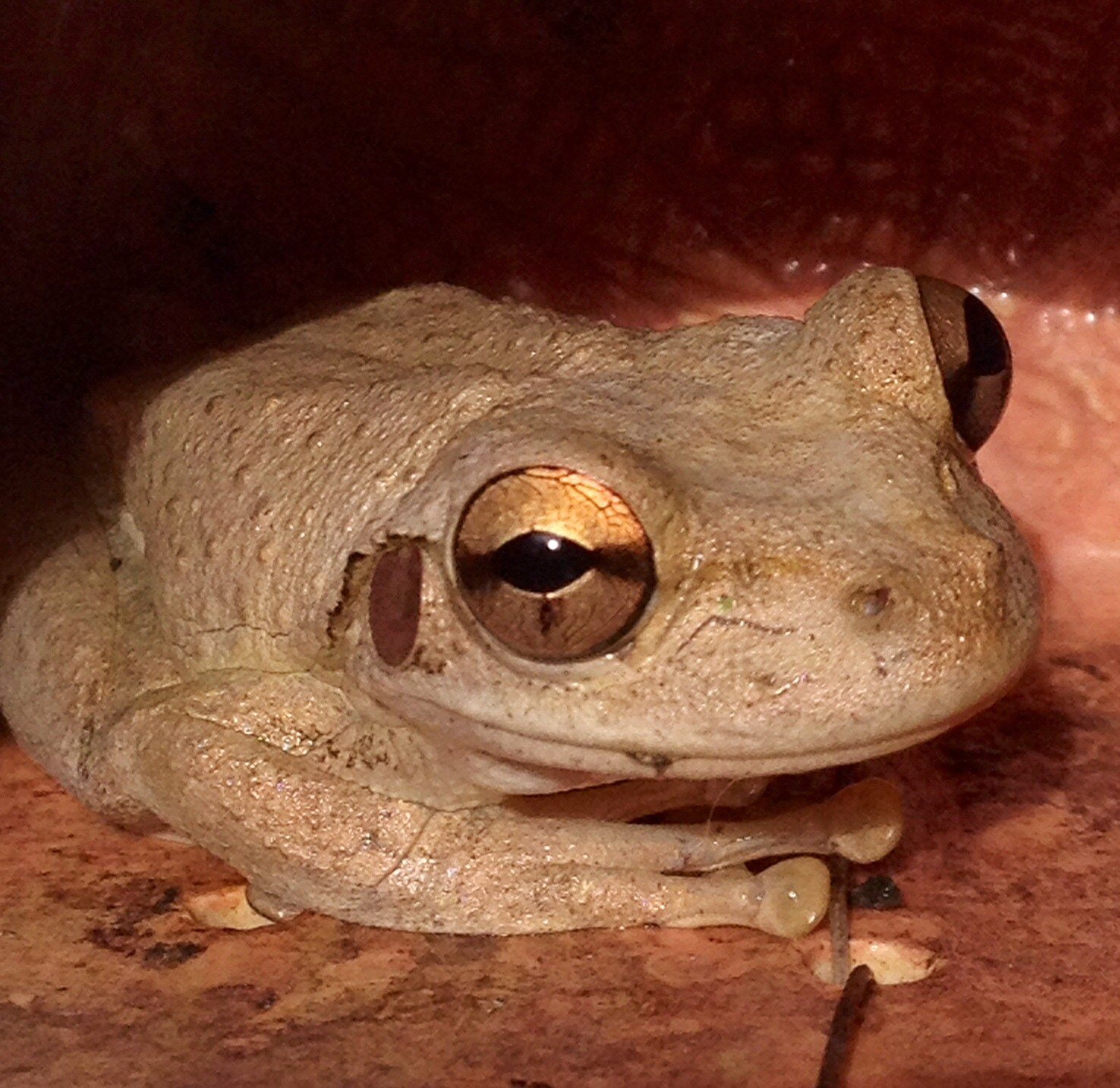 After The Rain... You Lookin At Me?