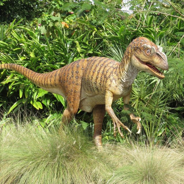 Dino?