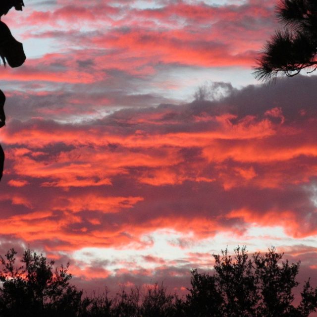 The Sky's The Limit