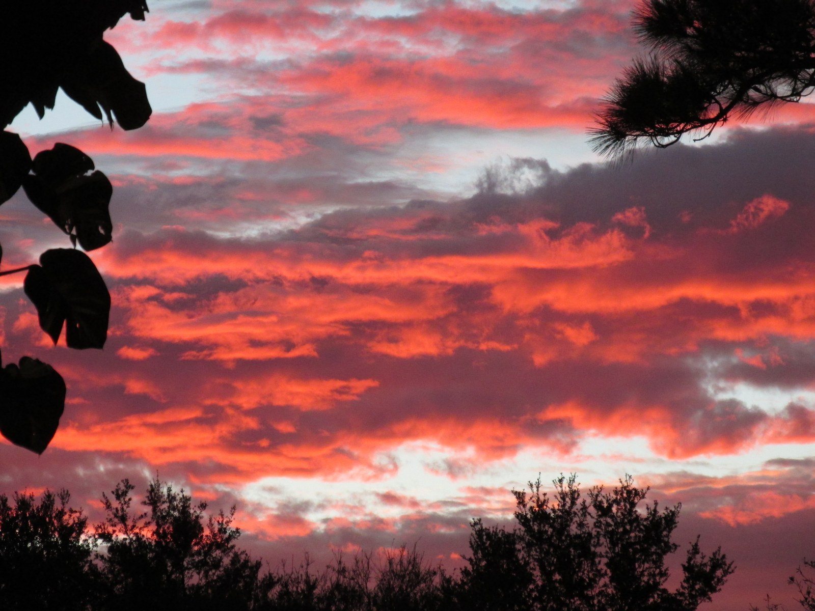 The Sky's The Limit
