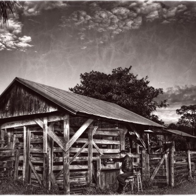 Jim Wilson At Treasure Hammock Ranch Cattle Scale