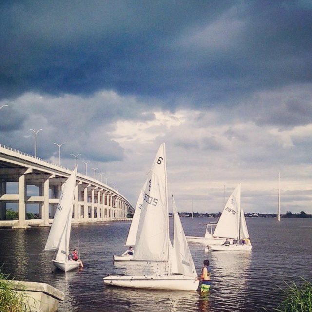 Sailing Life