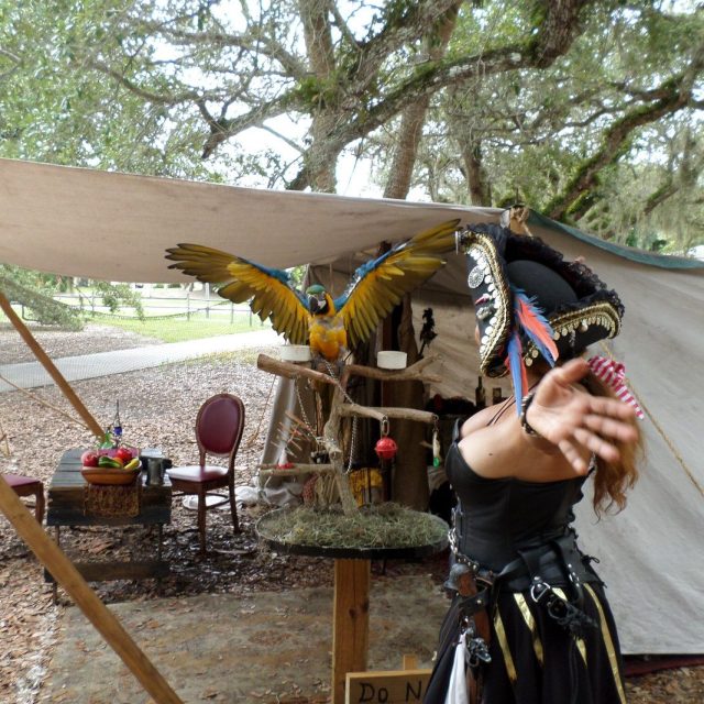 Treasure Coast Pirate Fest Vero Beach