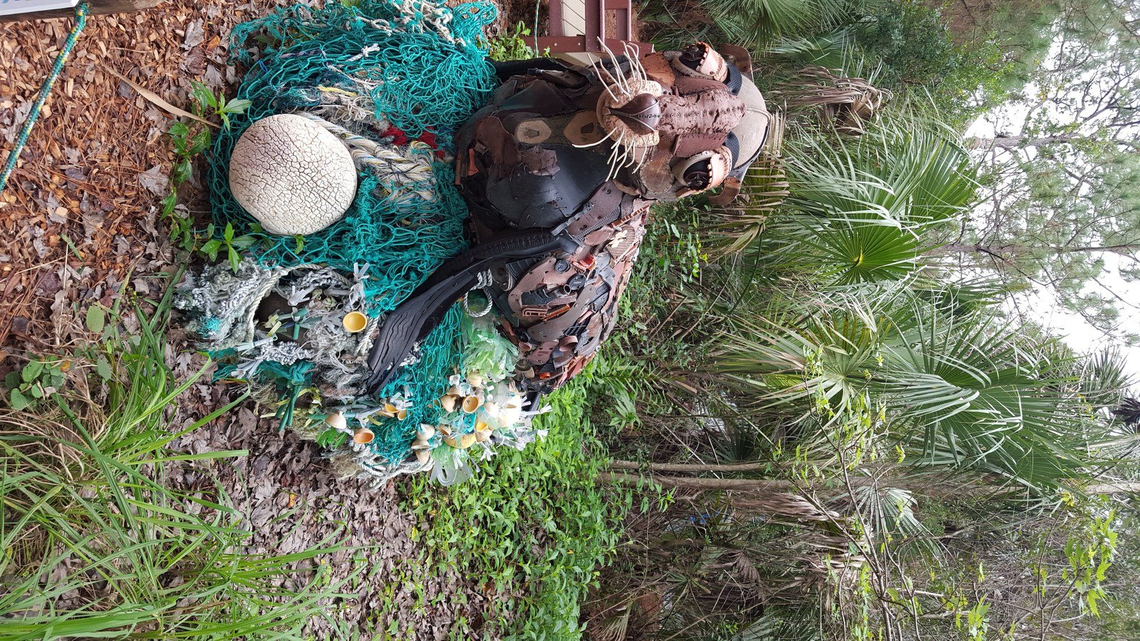 Brevard Zoo