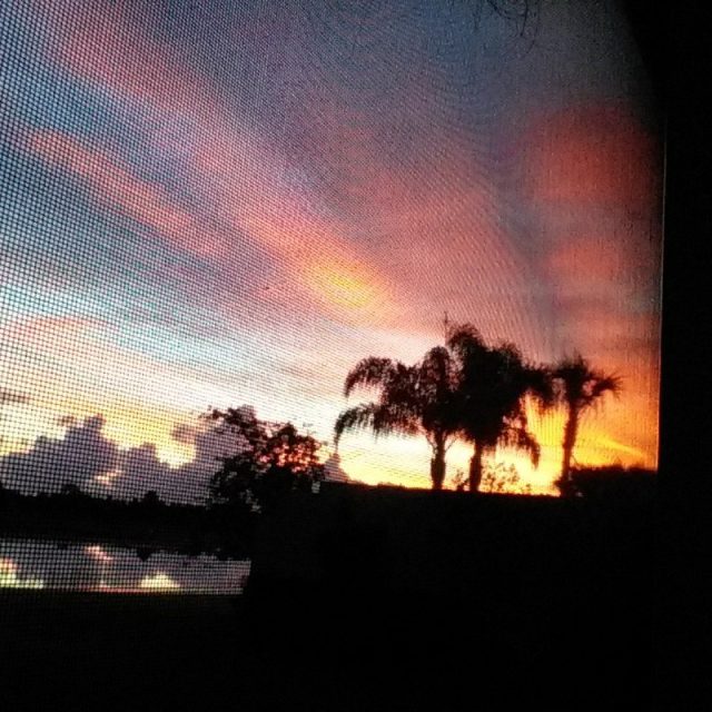 Sunrise In Vero