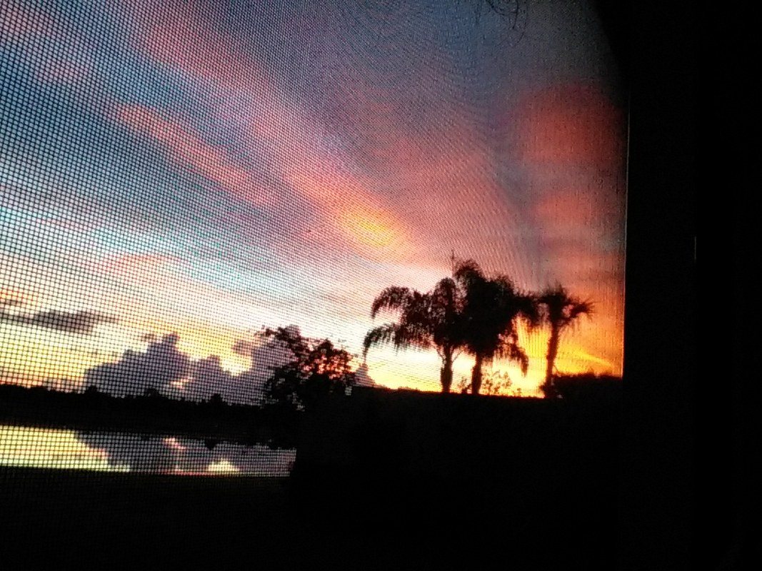Sunrise In Vero