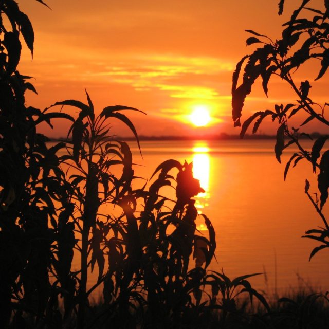 Sunrise On The River