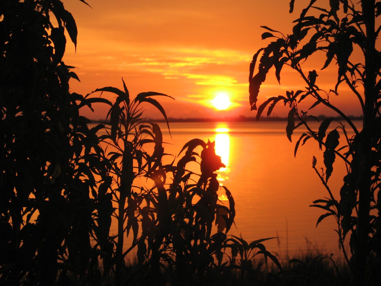Sunrise On The River
