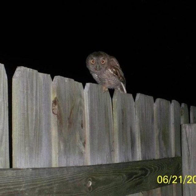 There Is Night Life In Vero Beach