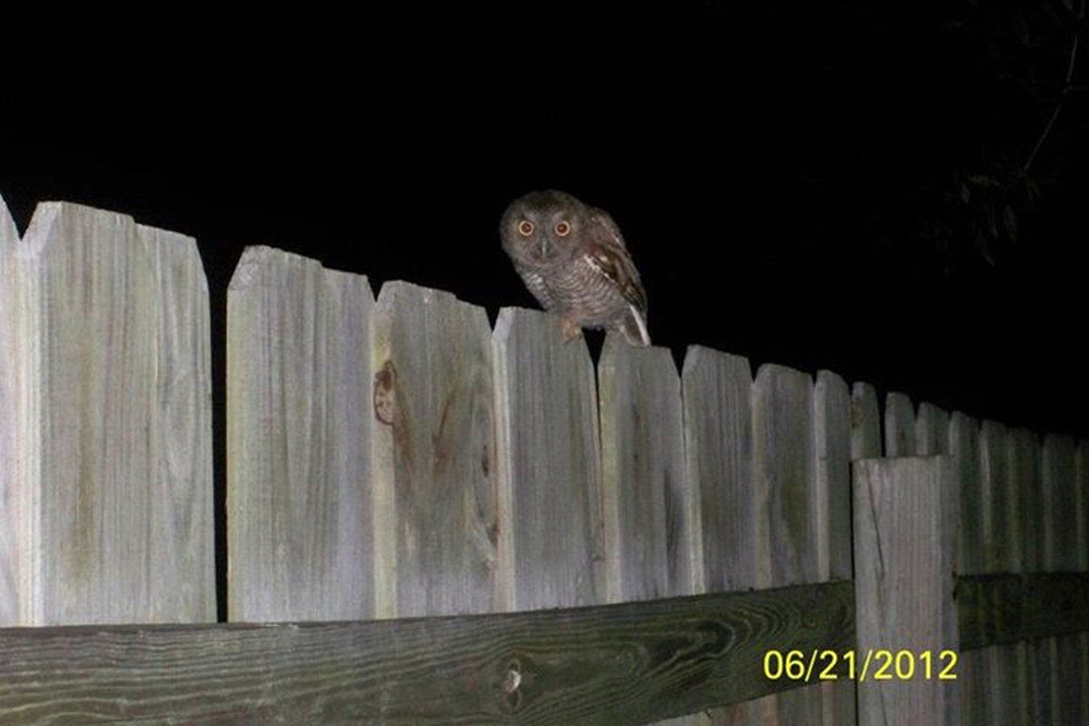 There Is Night Life In Vero Beach