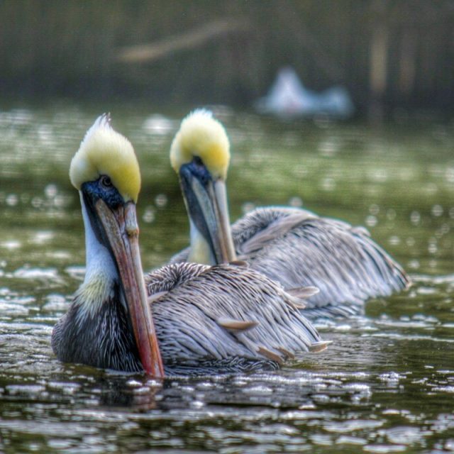 On The Dock Of The Bay