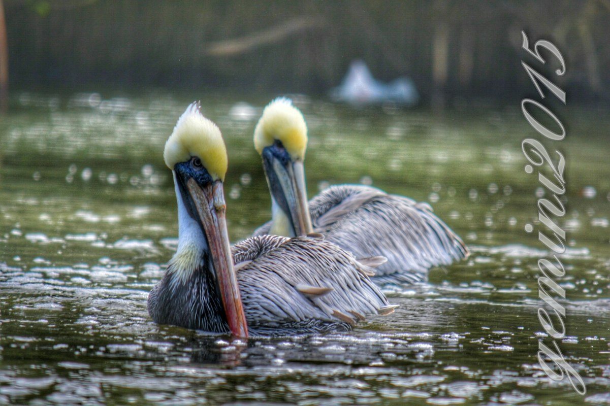 On The Dock Of The Bay