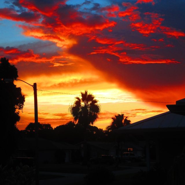 Sunrise In Vero