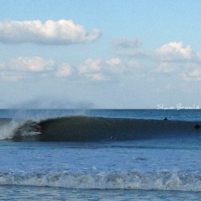 Sandy Swell South Beach