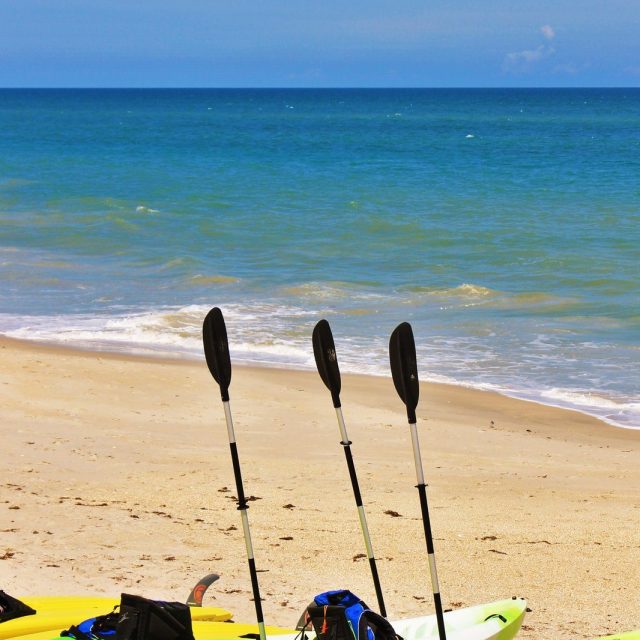 Beach Life